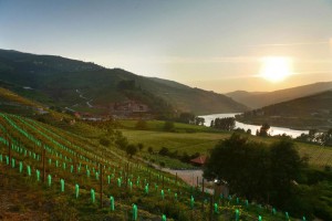 Six-Senses-Douro-Valley_Top-Luxusreisen_14-300x200